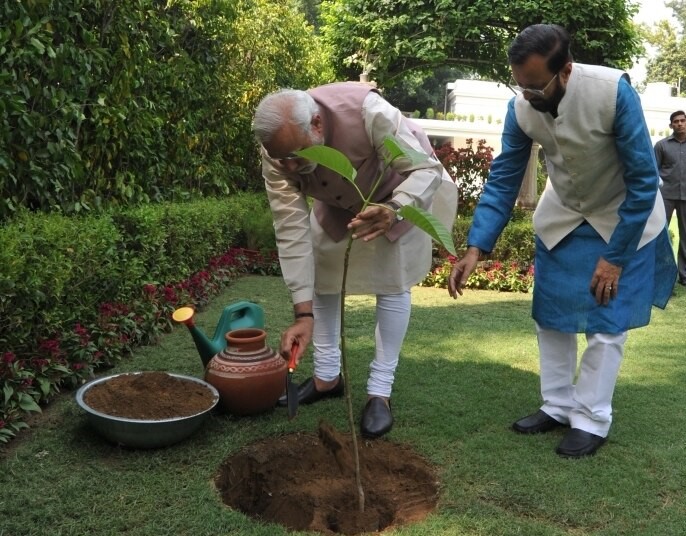 नेट ज़ीरो: चीन, जापान, और कोरिया के बाद अब नज़रें भारत पर