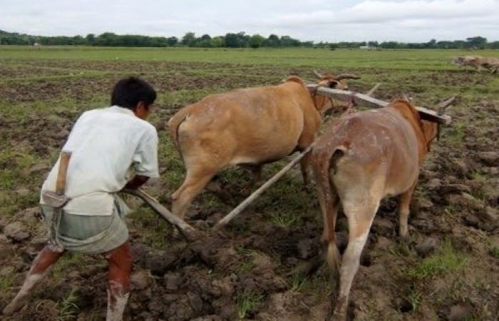 नेशनल मॉनसून मिशन से 1 करोड़ लोगों को लाभ: रिपोर्ट