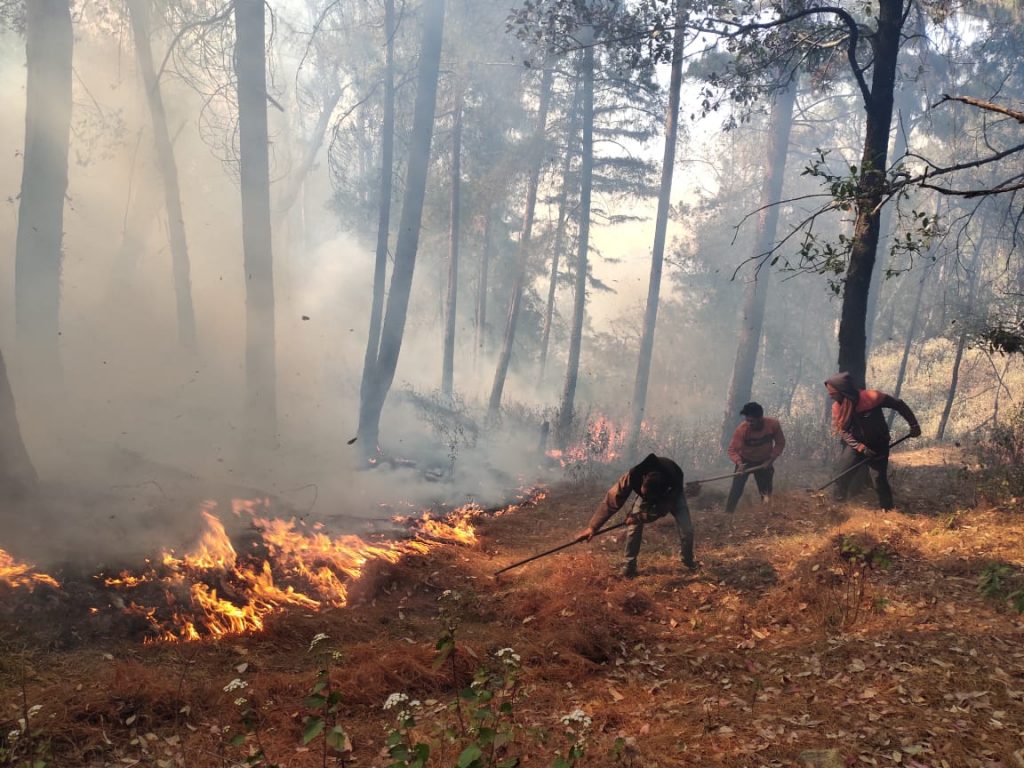 वनों में आग की बढ़ती घटनायें और बदलता ग्राफ