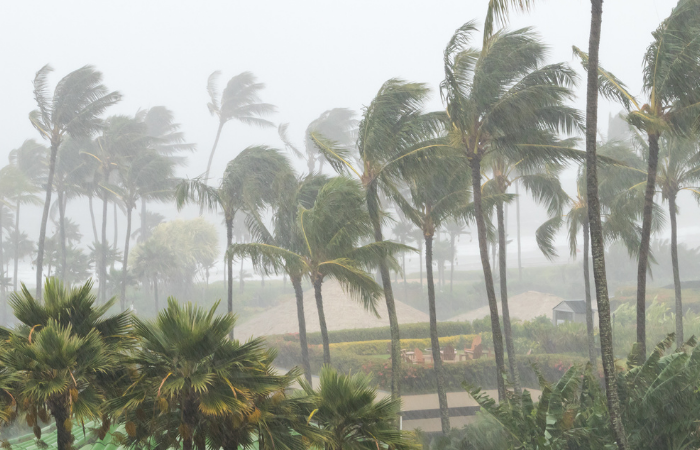 अरब सागर में उठते तूफानों का रिश्ता क्लाइमेट चेंज से