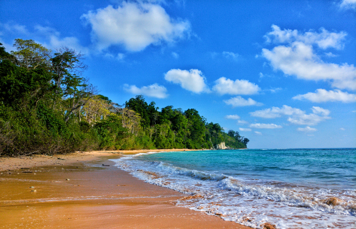 सरकारी पैनल ने उठाये अंडमान में बन रहे हवाई अड्डे पर सवाल