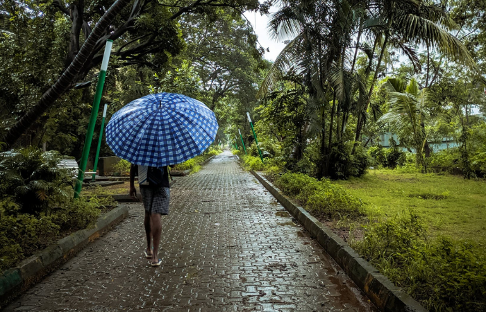 उत्तर भारत में दक्षिण-पश्चिम मानसून की प्रगति धीमी;  जलाशयों में एक-तिहाई पानी बचा