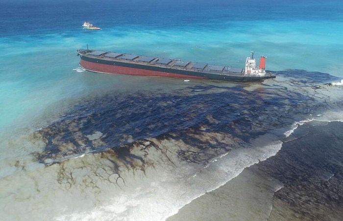 भाभा एटोमिक रिसर्च सेंटर ने तेल को सोखने की तकनीक विकसित की