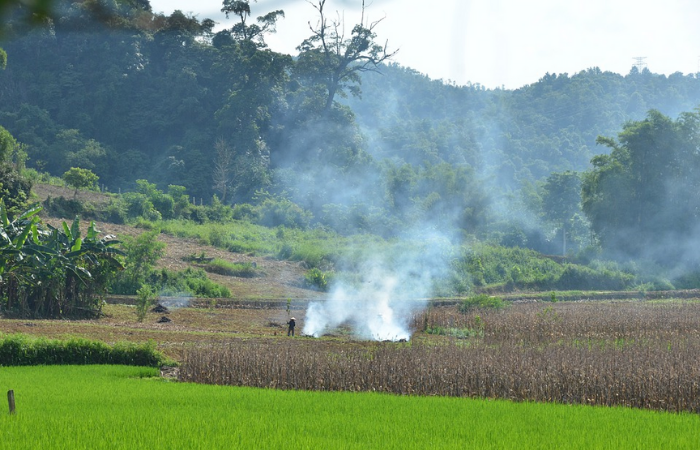 इसरो के फार्म फायर एस्टीमेशन प्रोटोकॉल अपनायें दिल्ली के पड़ोसी राज्य: वायु गुणवत्ता पैनल