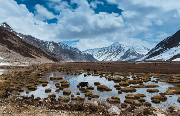बढ़ते तापमान के कारण लद्दाख की जांस्कर घाटी में पीछे हट रहे हैं ग्लेशियर