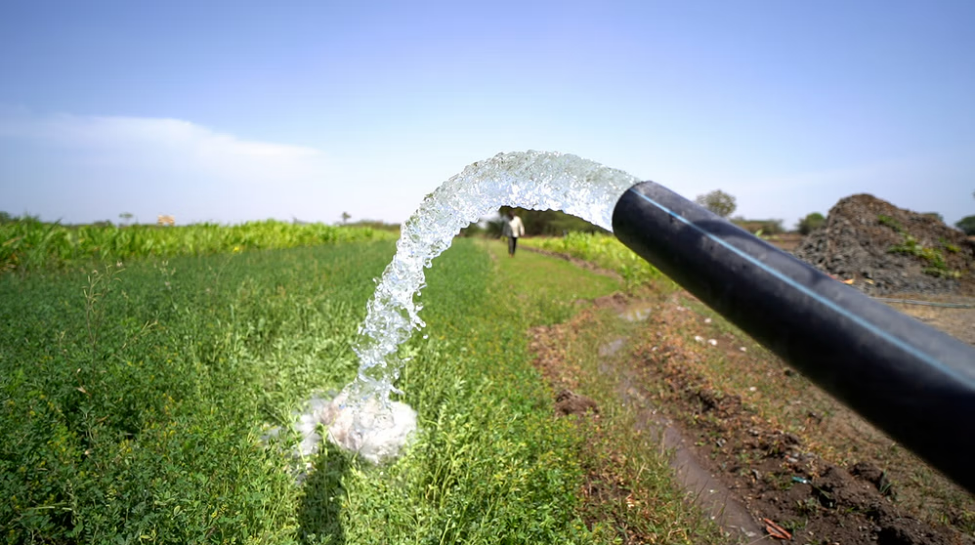 फूड चेन में आर्सेनिक और बिगड़ता सामाजिक तानाबाना