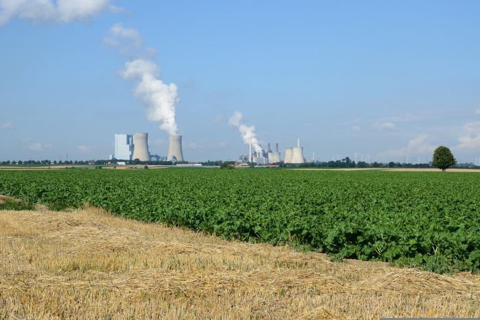 अध्ययन: NOx इमीशन में पचास प्रतिशत कटौती से उपज में होती है बढ़ोतरी