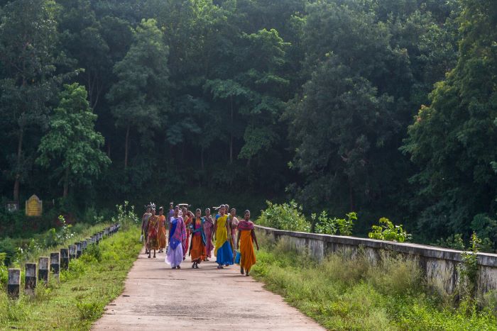 वन नियमों में नये बदलाव आदिवासियों और जंगलों के खिलाफ