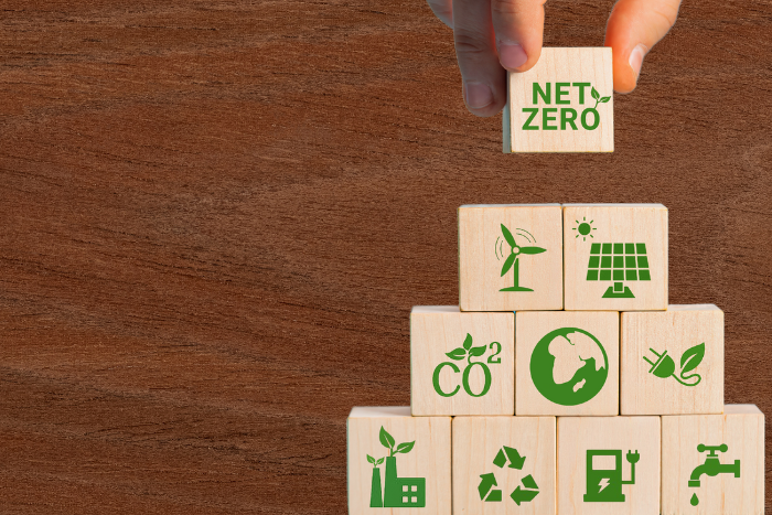 ग्रीनवॉशिंग: संयुक्त राष्ट्र पैनल की सख्त रिपोर्ट, ज़्यादातर नेट ज़ीरो मॉडल त्रुटिपूर्ण