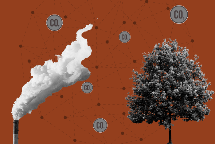 कार्बन ऑफ़सेट: सावधानीपूर्वक प्रयोग से हो सकती है उत्सर्जन में कमी, लेकिन सुधार हैं जरूरी