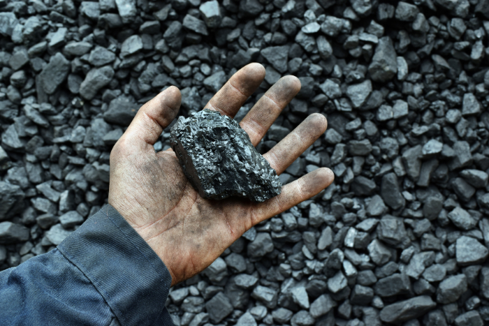 जस्ट ट्रांजिशन: वैकल्पिक रोजगार के लिए कोयला श्रमिक चाहते हैं नीतिगत सहायता