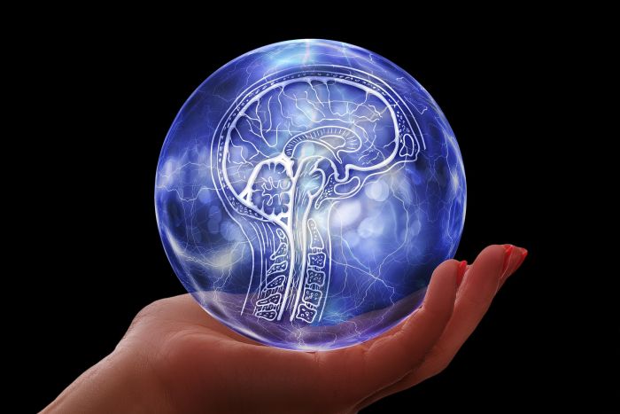 क्या आर्टिफिशियल इंटेलिजेंस से जलवायु परिवर्तन संकट हल किया जा सकता है?