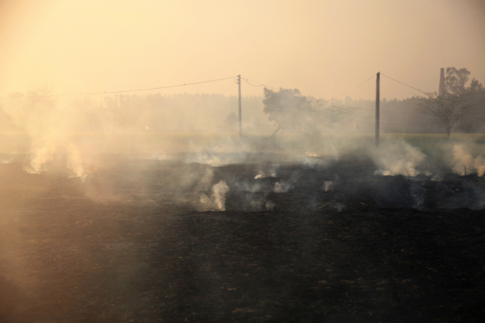 दुनिया के 20 सबसे प्रदूषित शहरों में से 14 भारत में