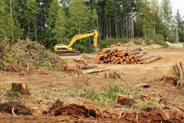 वन संरक्षण संशोधन विधेयक लोकसभा में पारित