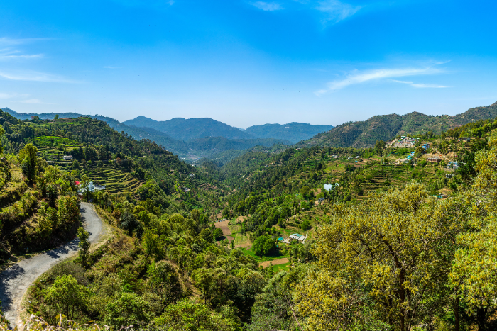 ओडिशा ने नए वन संरक्षण कानून के तहत दिया ‘डीम्ड फॉरेस्ट’ की समाप्ति का आदेश लिया वापस