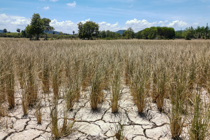 एल-निनो प्रभाव: इस साल रहा इतिहास का सबसे सूखा अगस्त
