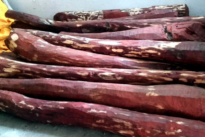 लाल चंदन के व्यापार की समीक्षा से भारत को मिली छूट