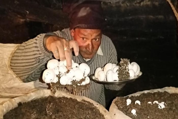 हिमालय में जलवायु संकट के बीच उद्यमी किसानों के नए प्रयोग