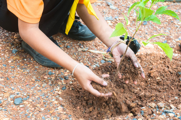 वन संरक्षण कानून में बदलाव पर अनुसूचित जनजाति आयोग के प्रमुख ने जताया था ऐतराज़