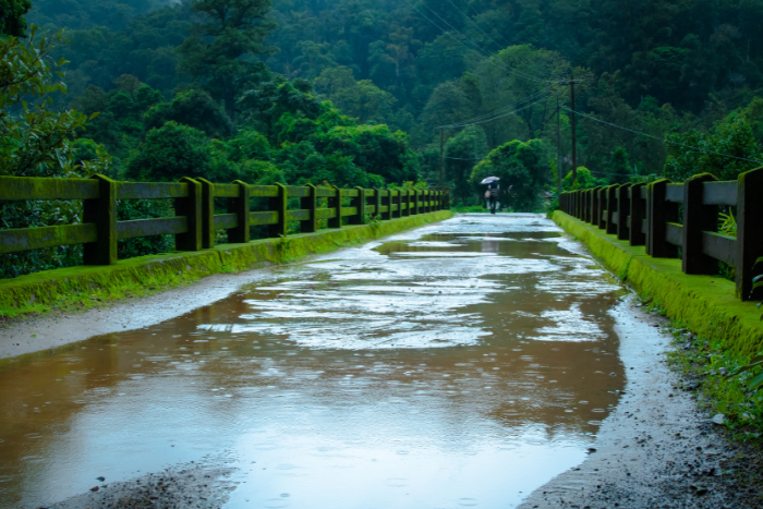 भारत में इस साल सामान्य से बेहतर रहेगा मानसून: आईएमडी