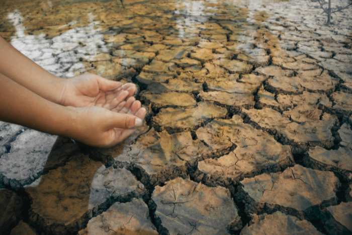 उत्तर-पश्चिम भारत में इतिहास का सबसे गर्म जून, मनमौजी मौसम का पूर्वानुमान होता जा रहा है कठिन