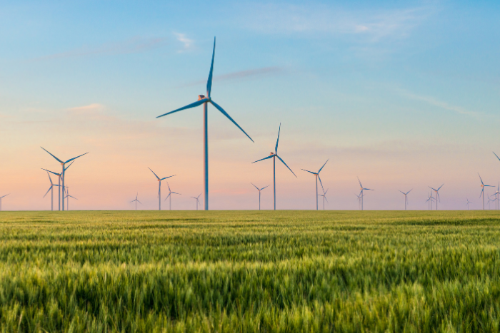 भारत की नवीकरणीय ऊर्जा क्षमता 113 प्रतिशत बढ़ी