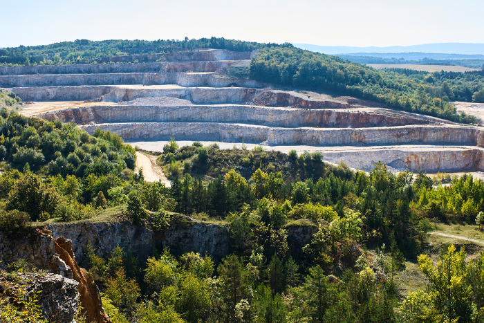 वन अधिकार अधिनियम की संवैधानिक वैधता पर सुप्रीम कोर्ट में सुनवाई, आदिवासी समूहों ने जताई चिंता