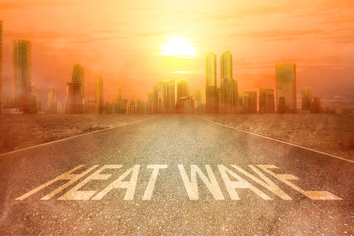 मार्च में ही चलने लगी है हीटवेव, मौसम विभाग की चेतावनी