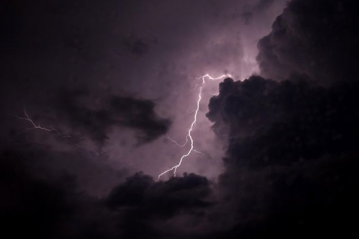 भारी बारिश और वज्रपात से बिहार में 80 लोगों की मौत