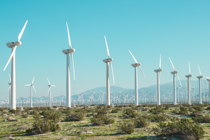 वैश्विक पवन ऊर्जा क्षमता में वृद्धि लक्ष्यों से बहुत पीछे: रिपोर्ट