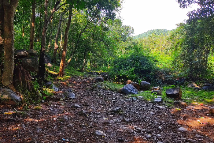 सुप्रीम कोर्ट ने प्रोजेक्ट शुरु होने के बाद दी जाने वाली पर्यावरण मंज़ूरी पर रोक लगाई