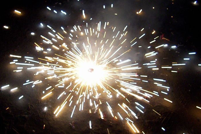 दिल्ली-एनसीआर में दिवाली पर ग्रीन पटाखों को मंजूरी