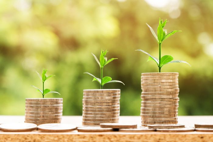 कॉप30: 1.3 ट्रिलियन डॉलर क्लाइमेट फाइनेंस का रोडमैप जारी