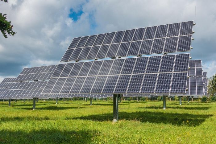 भारत ने 2025 में जोड़ी 50 गीगावाट अक्षय ऊर्जा, हासिल किया ऐतिहासिक लक्ष्य